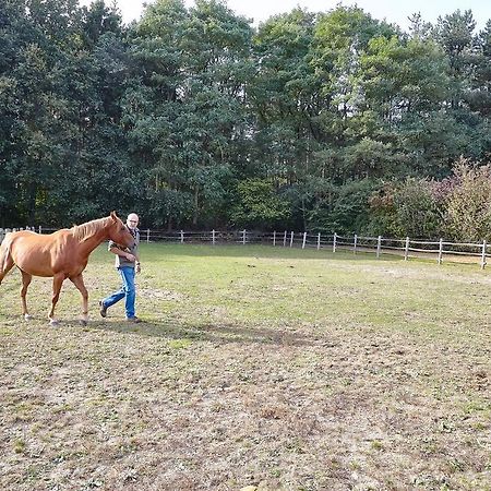 B&B Zinnen en Minnen Herselt Buitenkant foto