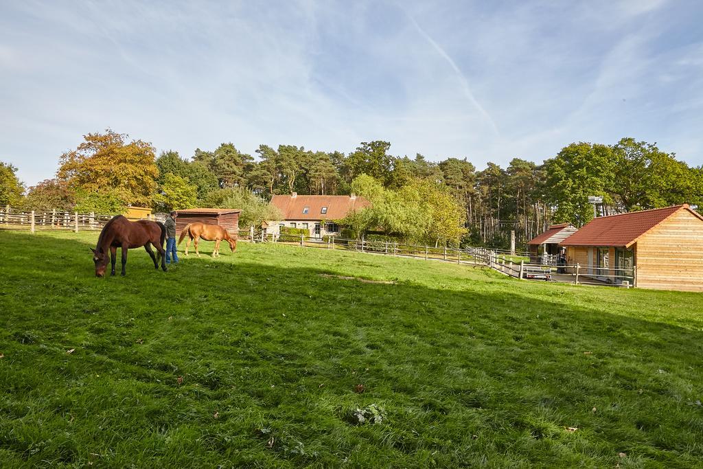 B&B Zinnen en Minnen Herselt Buitenkant foto