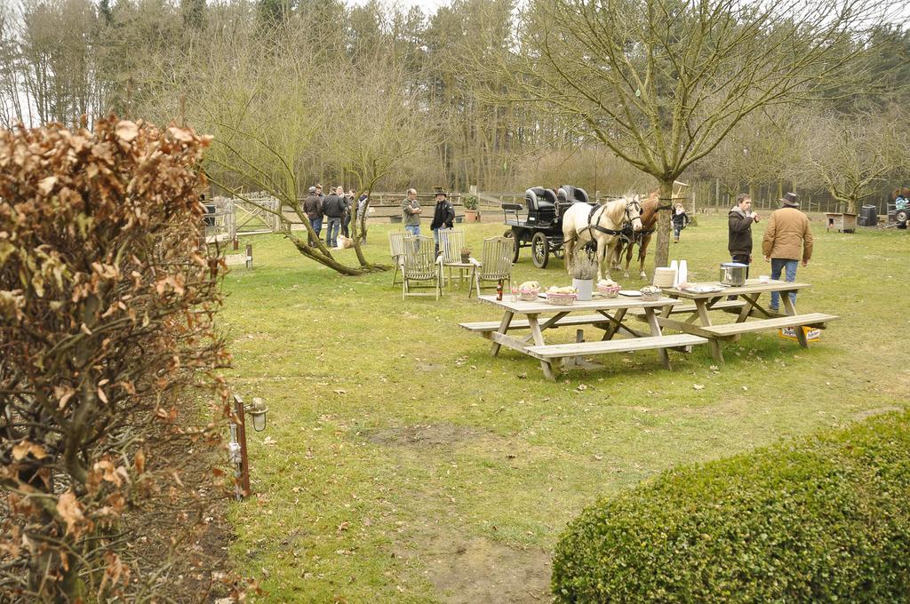 B&B Zinnen en Minnen Herselt Buitenkant foto